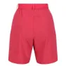 Regatta Mountain Shortsii Shorts