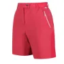 Regatta Mountain Shortsii Shorts