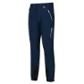 Regatta Mountain Winter Regular Byxor, Mnltdnm / mnlt