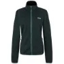 Spruce green 1