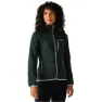 Spruce green 2