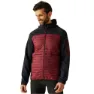 Dark maroon / black