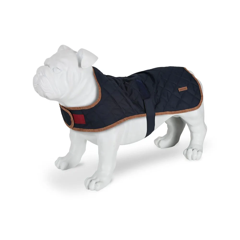 Regatta Odie Hundjacka