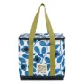 Jasmine flower blue