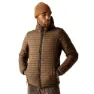 Nut brown / black