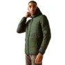 Olive night / black