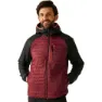 Dark maroon / black
