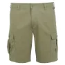 Regatta Ruwan Shorts