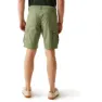 Regatta Ruwan Shorts