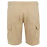 Regatta Ruwan Shorts