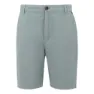 Regatta Sabastal Shorts