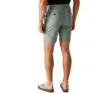 Regatta Sabastal Shorts
