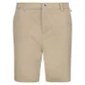 Regatta Sabden Shorts