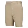 Regatta Sabden Shorts