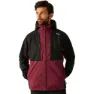 Dark maroon / black