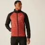 Regatta Sacramento X Jacka Refurbished, Red ochre / black