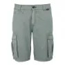 Regatta Shorebay Ii Shorts