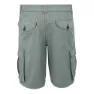 Regatta Shorebay Ii Shorts