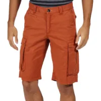 Regatta Shorebay Shorts