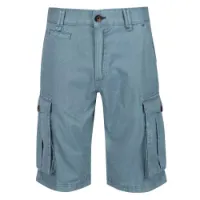 Regatta Shorebay Shorts
