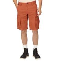 Regatta Shorebay Shorts