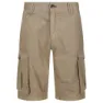 Regatta Shorebay Shorts