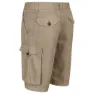 Regatta Shorebay Shorts