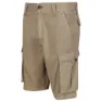 Regatta Shorebay Shorts