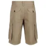 Regatta Shorebay Shorts