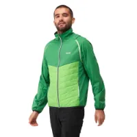 Regatta Steren Hybrid Softshelljacka Regatta Steren Hybrid Softshelljacka