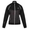 Regatta Steren Hybrid Softshelljacka