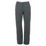Seal grey