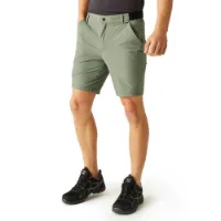 Regatta Travel Light Shorts