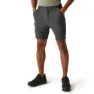 Regatta Travel Light Shorts