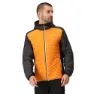 Regatta Trutton Ii Jacka