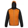 Regatta Trutton Ii Jacka