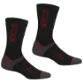 Regatta Wool Hiker Strumpor 2 Par