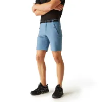 Regatta Xert Stretch Iii Shorts