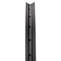 Reserve 31 Dh 29´´ Mtb Fälg