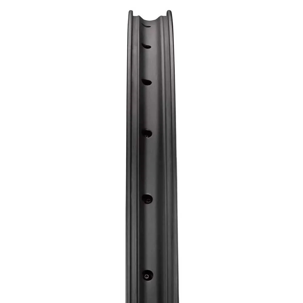 Reserve 31 Dh 29´´ Mtb Fälg, Black, 29" 32H