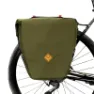 Olive 1