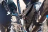 Revelate Designs Hopper Frame Bag