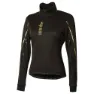 Black / gold