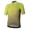 Glass Citrus / Khaki