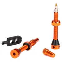 RideMax 4 Mousse Tubeless Presta Ventiler