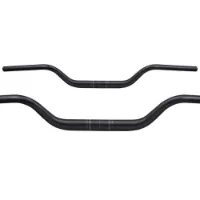 Ritchey Comp Buzzard Styre
