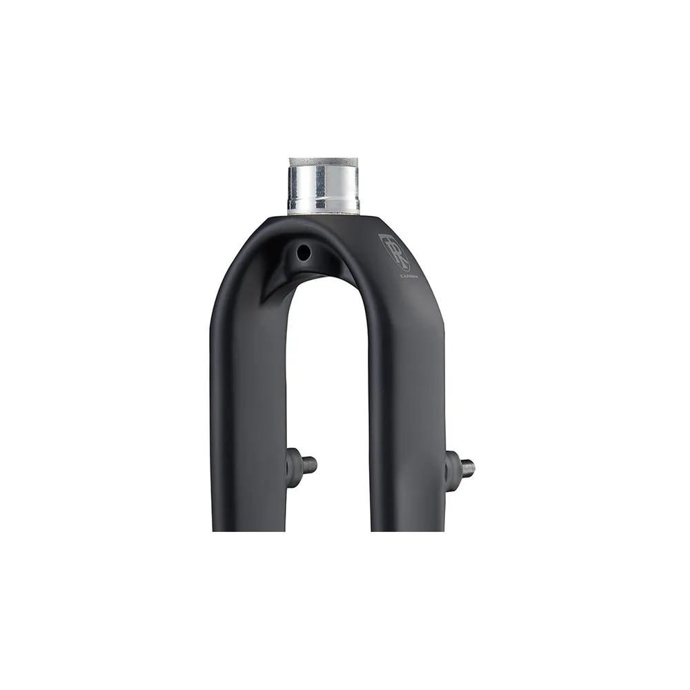 Ritchey Comp Carbon Cross 9x100 Mm 48 Offset Väggaffel, Matte black, 28"-700C, Rigid