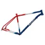 Ritchey P-29er Mtb-ram