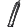Ritchey Wcs Carbon Mtn Adventure Mtb-gaffel, Black, 29", Rigid