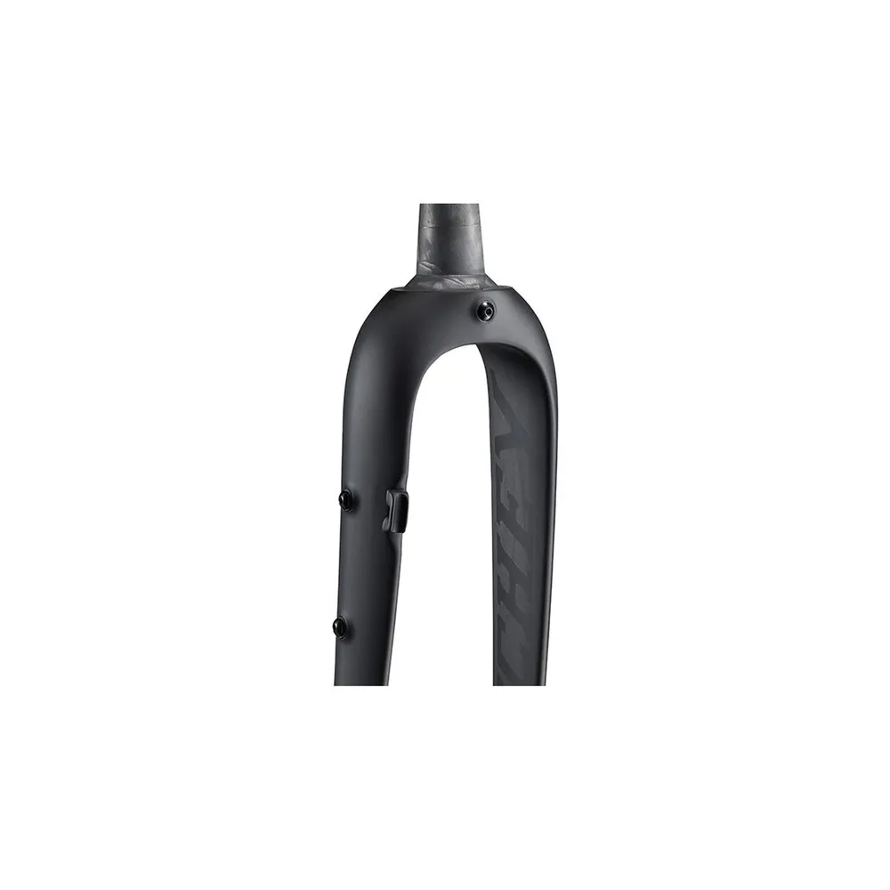 Ritchey Wcs Carbon Tapered Adventure 12x100 Mm Väggaffel, Matte Black, 28" - 700C, Rigid Ritchey Wcs Carbon Tapered Adventure 12x100 Mm Väggaffel, Matte Black, 28" - 700C, Rigid